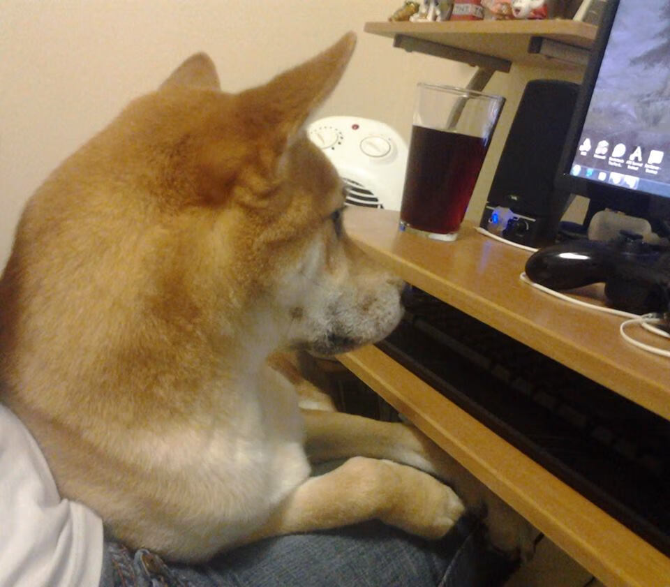 双重神迹,巴拉圭的冷夜与莫德里奇的热血