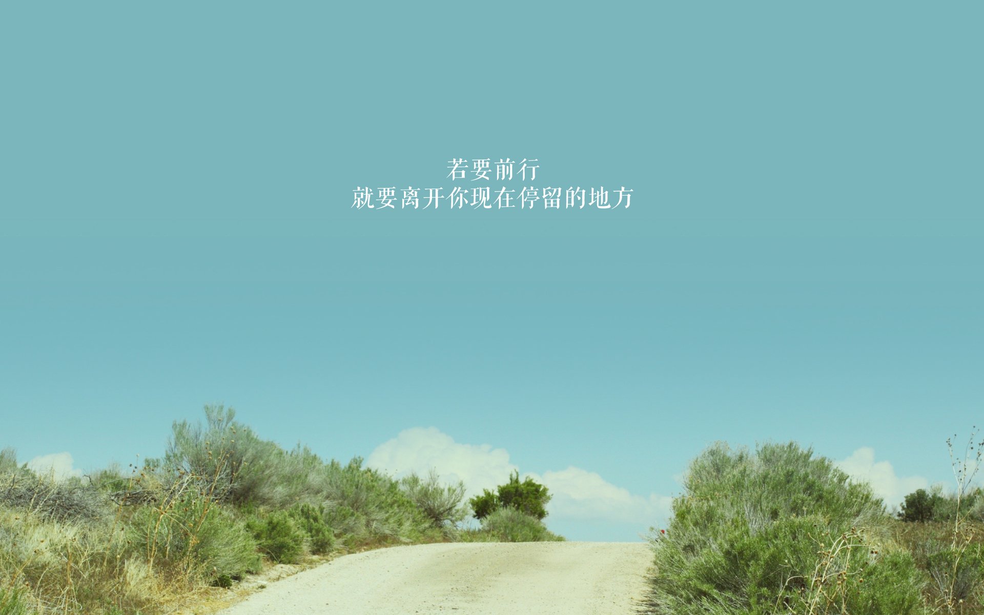 蓝黑镰刀与法老权杖,两种非洲力量如何定义欧洲足坛的生存法则