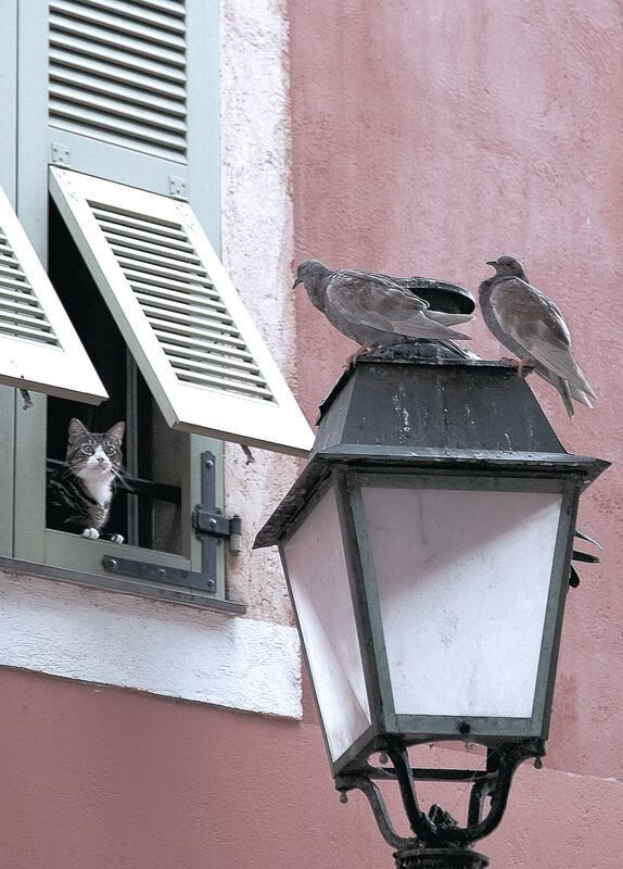 曼城智利对决预演世界杯风云，莱万2026接管赛场