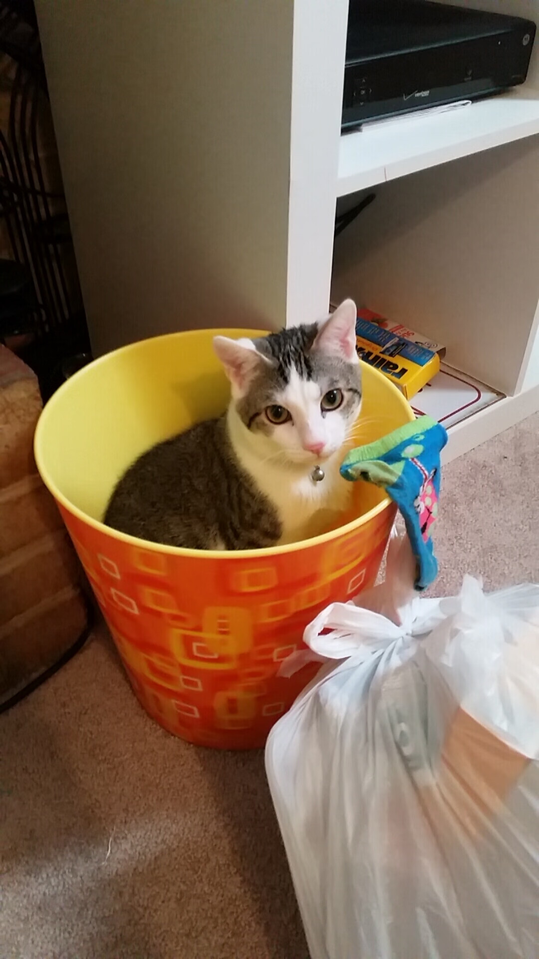 法兰西堡垒崩塌之夜，马里洪流与苏亚雷斯的致命一击