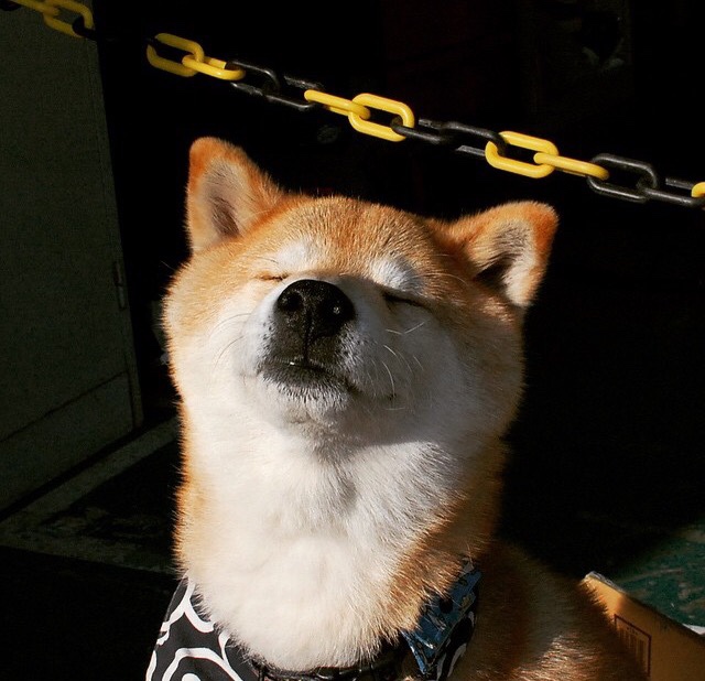 新秩序降临,从贝林厄姆的掌控力到丹麦球队的欧冠突围