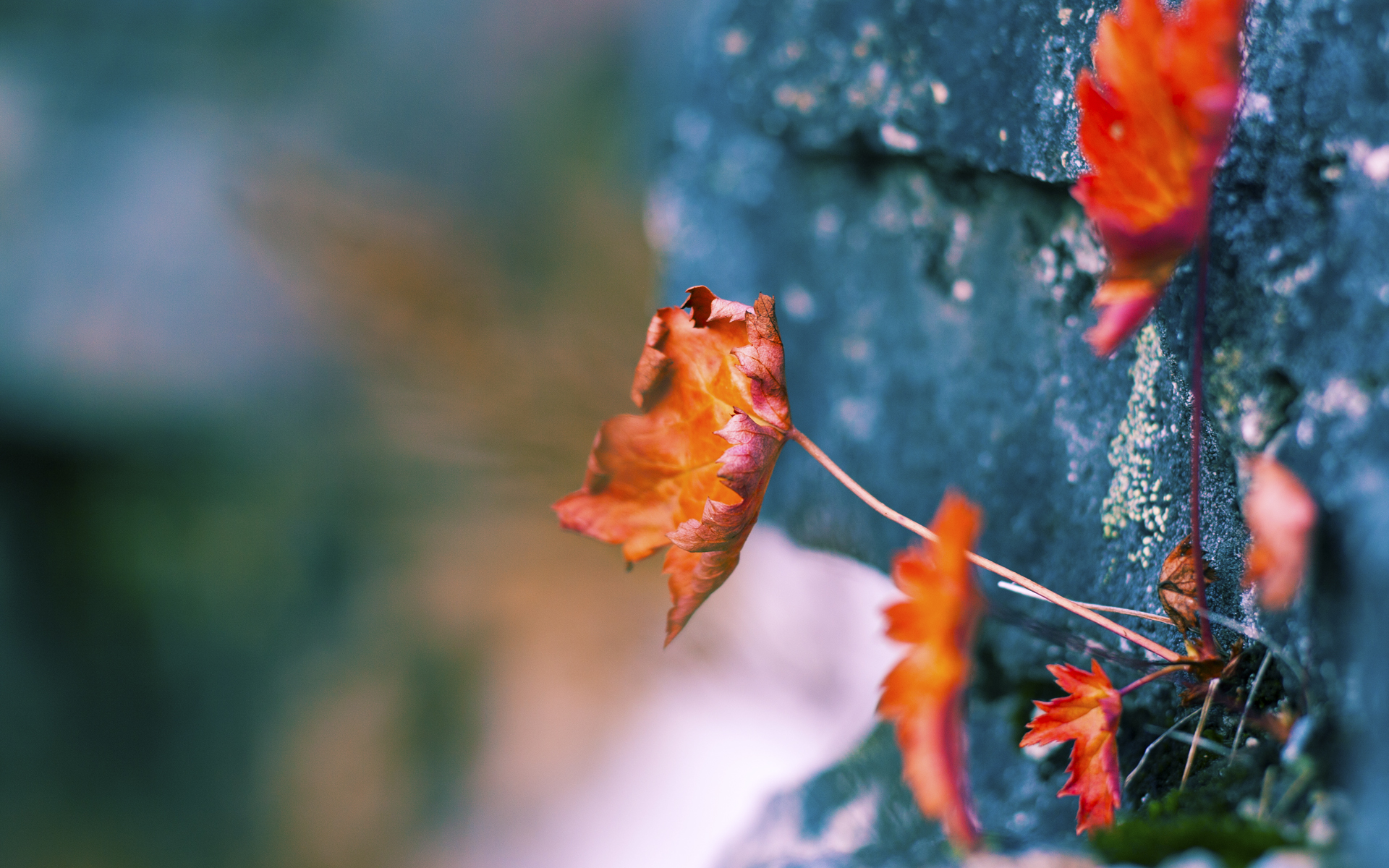 绝境回响，当法比尼奥在加时赛里觉醒，皇马听见了另一种声音