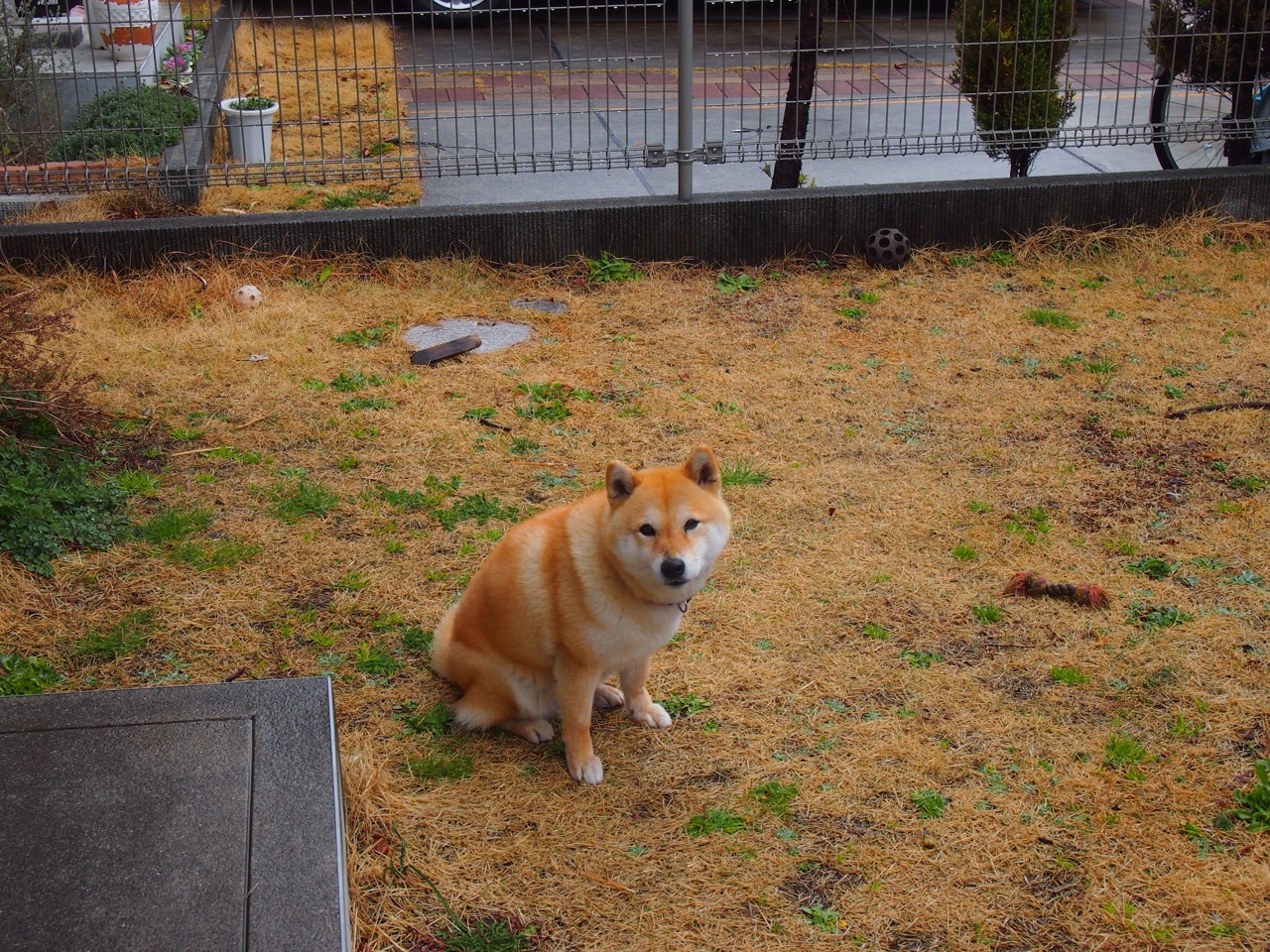蓝色奇迹，勒沃库森最后十分钟的闪电逆转，布鲁诺如何一手撕碎利物浦的夺冠梦