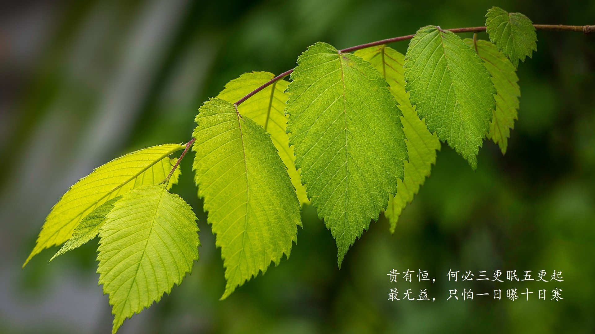 迈阿密海岸线的阵痛，当西亚卡姆的火热焚毁热火的铁血