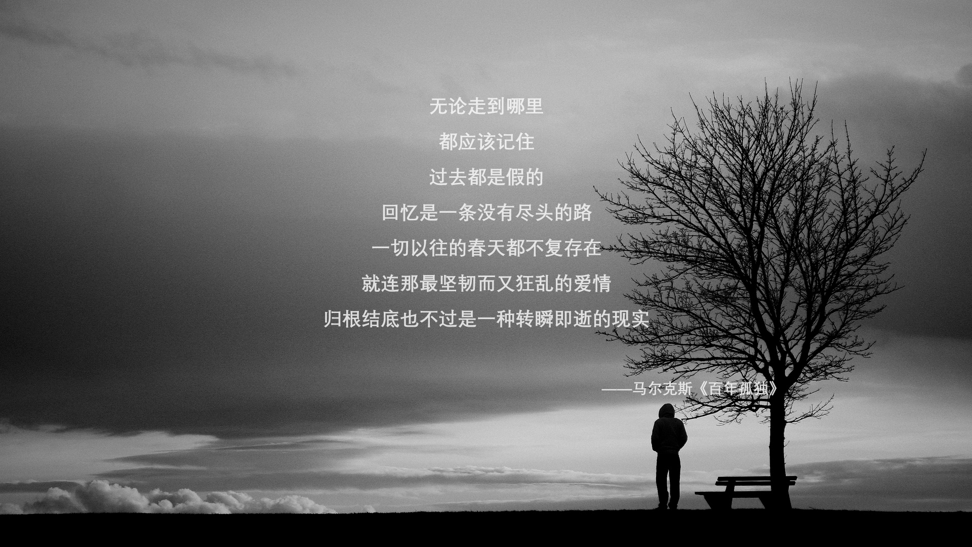 沙漠中的涅槃,2026,那场被布局天下的唯一逆转