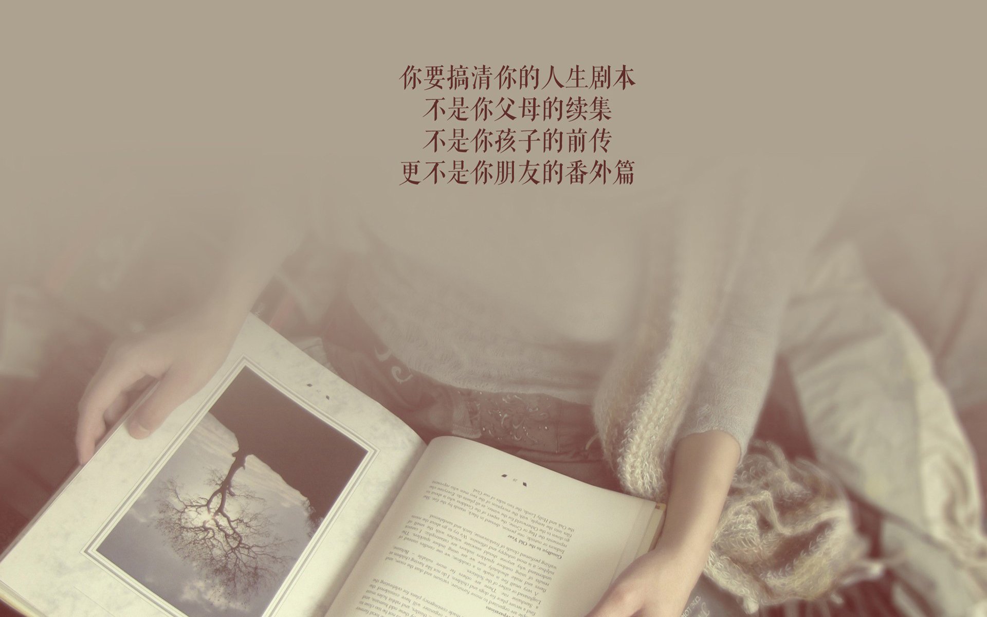 雄狮燎原，北极光凋零，喀麦隆在2026世界杯四分之一决赛中的统治力与费利克斯的进攻交响曲